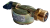 f146c1fff46737004ebbea29334ebc07