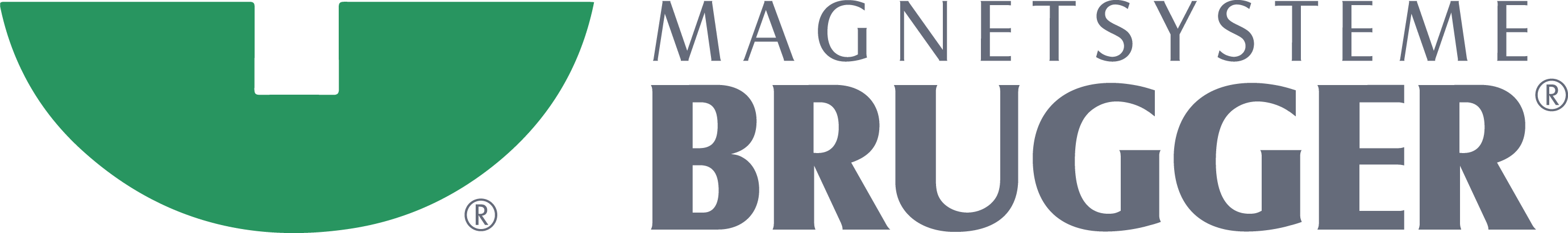 Brugger Magnetsysteme